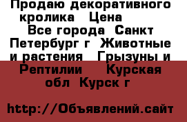Продаю декоративного кролика › Цена ­ 500 - Все города, Санкт-Петербург г. Животные и растения » Грызуны и Рептилии   . Курская обл.,Курск г.